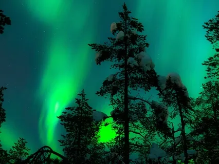 The Unified Field (Piano & Nature)