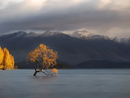 The Unity Of Reality 