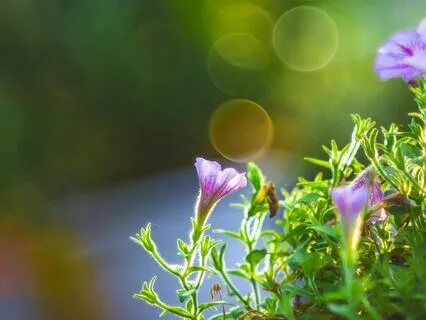 The Universal Breath