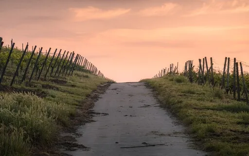 The Universe Can Only Meet You Where You Are