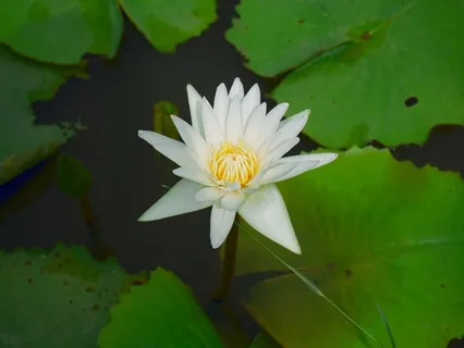 The Universe Is Listening!