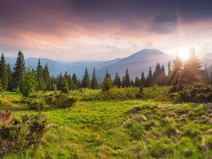 The Universe Is Telling Us In So Many Ways What Our Purpose Is - We Are Just Not Paying Attention