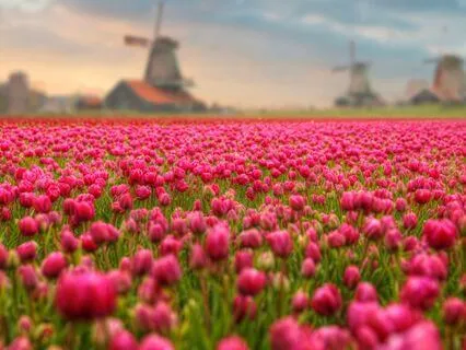 The Universe’s Abundance Flows To Me Effortlessly