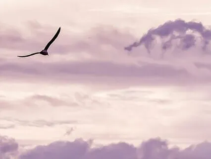 The Universe's Darling Child