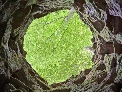 The Universe’s Heartbeat: A Journey From Pain To Oneness