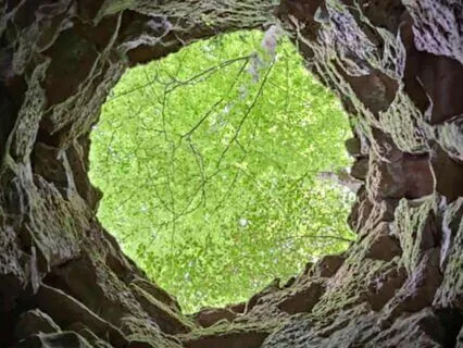 The Universe’s Heartbeat Journey (Short Version)