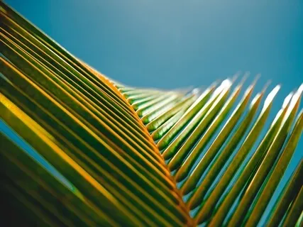 The Universe Seems To Be Beating The Idea Of Non-Separation, One Being Into Me Recently