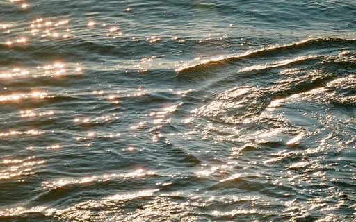 The Universe Supports You - Yoga Nidra