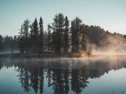 The Universe Will Create A Path For You