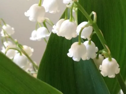 The Unknown As A Guide