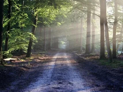 The Unknown Path Forward (30-Minute Version)