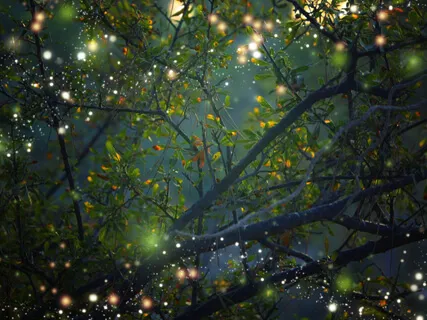 The Unseen Friends Transmission: Opening To The Spirit Worlds