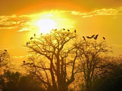 The Unseen Hand That Guides Your Experience