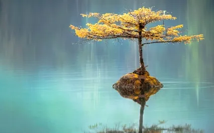 The Upside Of Anxiety