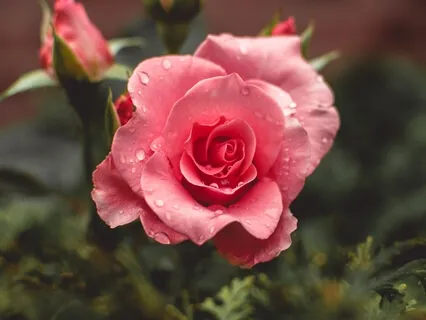 The User Friendly Heart