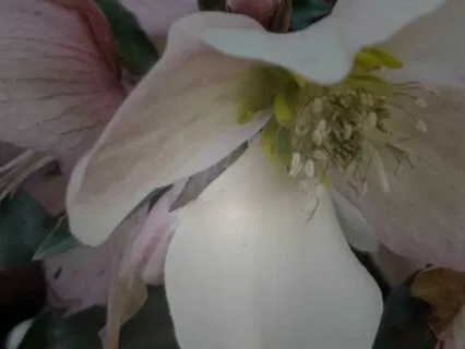 The USM - Ultimate Success Mantra