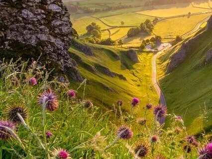 The Valley (Human Design)