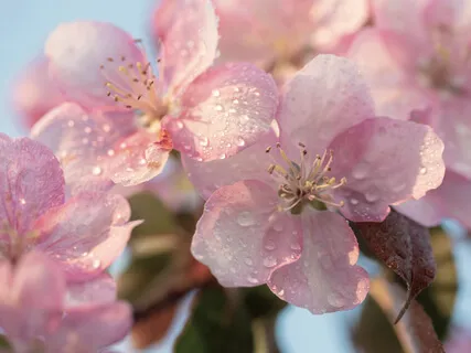 The Value Of Kindness