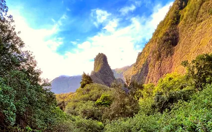 The Value Of Meditation