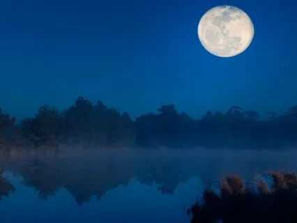 The Vampire's Quest (Long Meditation Sleep Story)