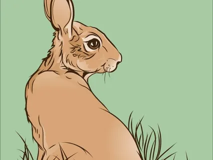 The Velveteen Rabbit