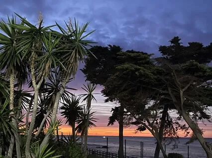 The Velveteen Rabbit Sleep Story