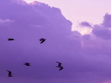 The Vibration Of Peace 432 Hz