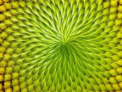 The Virtuous Cycle: Mindfulness To Unite Values With Action