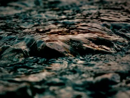  The Vision By The Fountain By Nathaniel Hawthorne