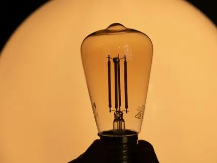 The Visionary Activist: An Awaken Creative Contemplation