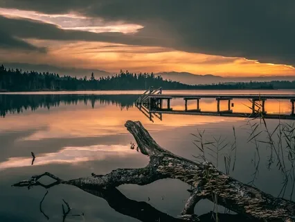 The Visit !  About Abundance 