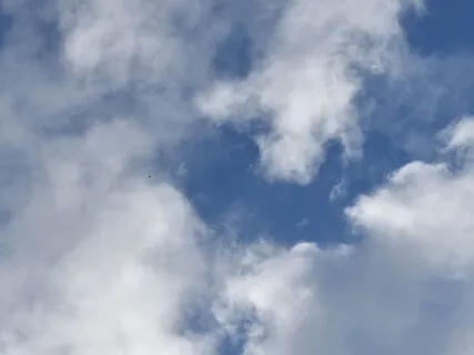 The Voice As A Self Care Tool - The Breeze