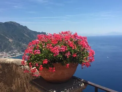 The Vow: A Poem And Meditation