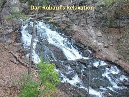 The Walk in the Woods