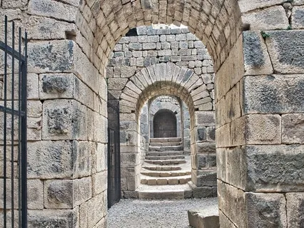 The Wanderer of Jaipur