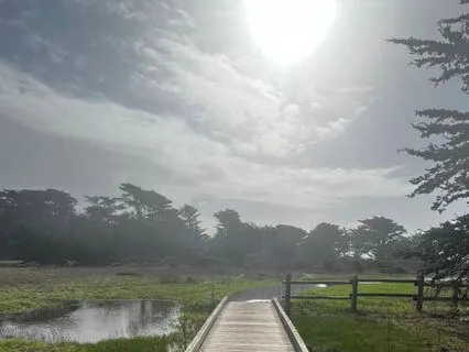 The Wandering River, A Vagus Nerve Meditation.