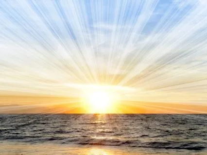 The Ward That Healed Without Therapy (A True Story)