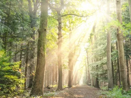 The Warmth Around You