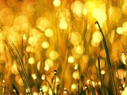 The Warmth Of Joy Visualisation