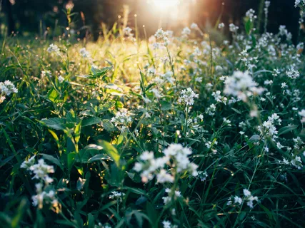 The Warmth Of Your Smile