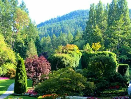 The Watchers: Bedtime Story