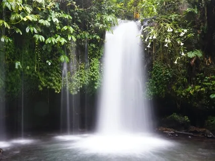 The Waterfall & The Forest: Clearing Your Energetic Space
