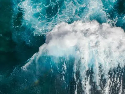 The Wave Underneath The Want