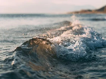 The Waves Know (Recorded At Mackworth Island, Maine)