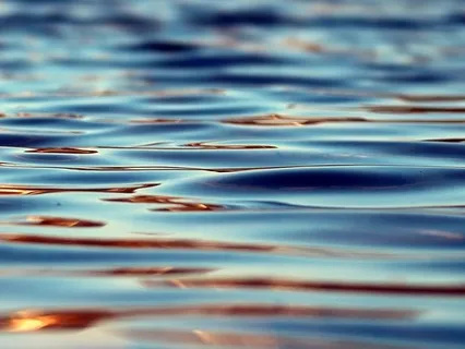 The Waves Of Paradise