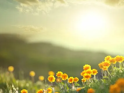 Lessons From The Elemental Fairies (Meditation Sleep Story)