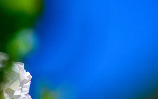 The Way Of Meditation - Observe And Witness