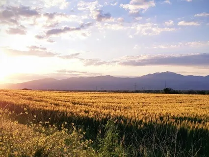 The Way Of Rumi: 4 Meet Me In A Field (Beyond Wrong & Right)