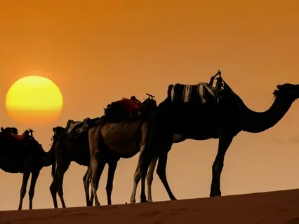 The Way Of Rumi: 6 Let Yourself Be Silently Drawn