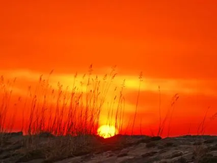The Way Of Strategic Resilience- Unpleasant Emotions